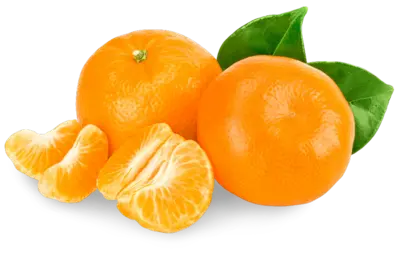 Cítricos ComsatFruit